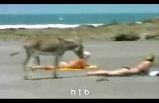 الجنس الشرجي اروع افلام سكس اجنبي مع كتي