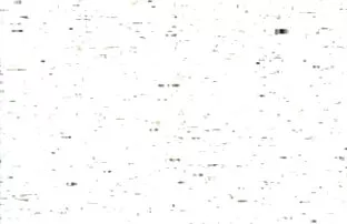 مفلس الفراخ تظهر سكس اجمل بنات اجنبي الجسم على الشاطئ